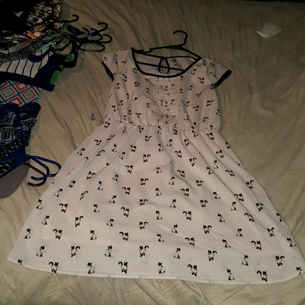Xhilaration cat dress! Make offer!:)